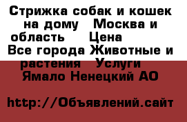 Стрижка собак и кошек на дому.  Москва и область.  › Цена ­ 1 200 - Все города Животные и растения » Услуги   . Ямало-Ненецкий АО